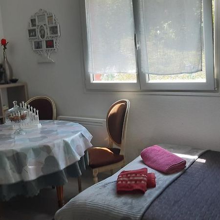 Ravissant Studio Dans Un Cadre Agreable Soultz-Haut-Rhin Bagian luar foto