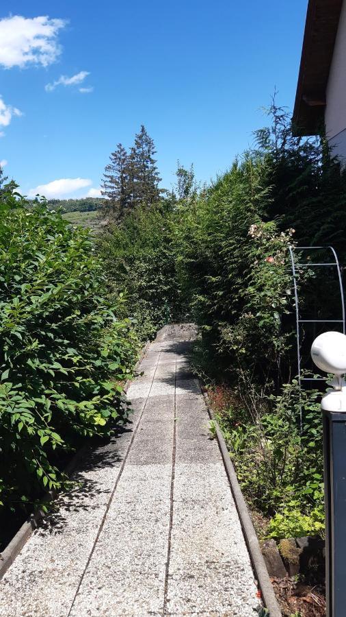 Ravissant Studio Dans Un Cadre Agreable Soultz-Haut-Rhin Bagian luar foto