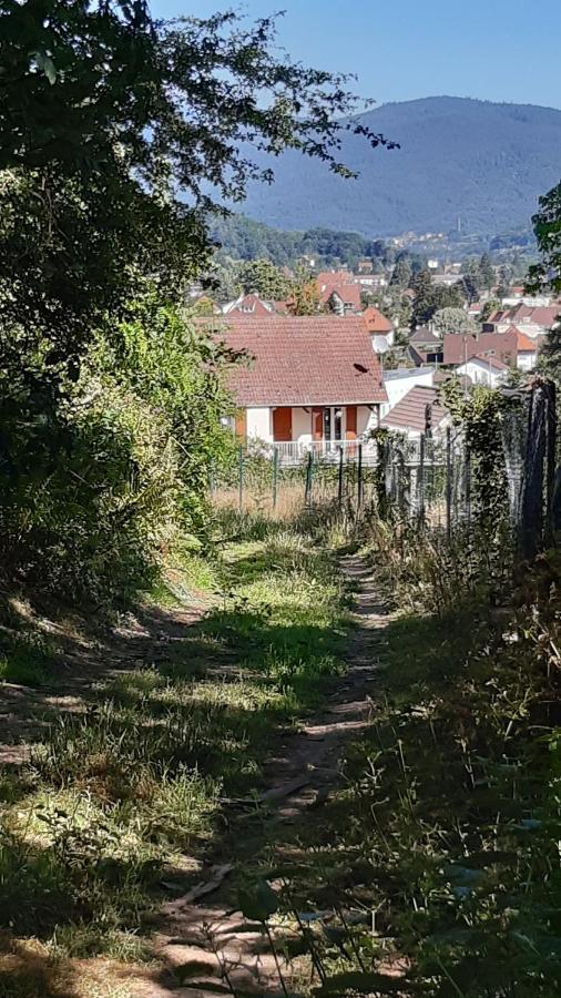 Ravissant Studio Dans Un Cadre Agreable Soultz-Haut-Rhin Bagian luar foto